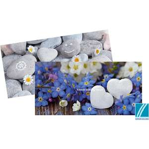 Edition Gollong panoraama