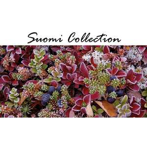 Suomi Collection panoraama